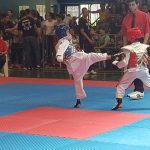 mestre luta 2 taekwondo vitor