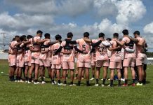 Anápolis se reapresenta com 15 remanescentes da Série C; confira situações do elenco