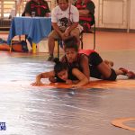 open wrestling 20