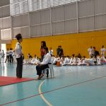 goiano taekwondo poomsae 1