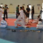 goiano taekwondo poomsae 2