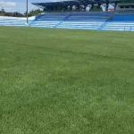 Gramado estádio Arena Rifertil Catalão (3)