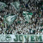Torcida Goiás Força Jovem Foto Comunicação GEC