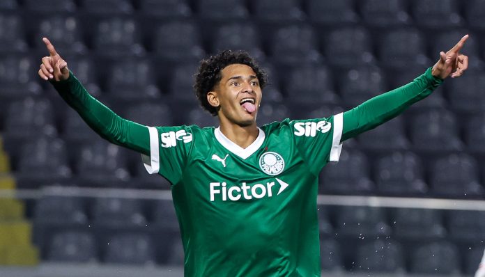 FOTO DO ATACANTE HALERRANDRIO, DO PALMEIRAS