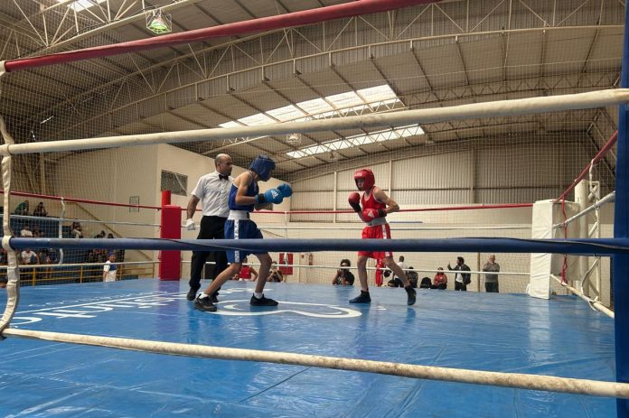 FOTO DE LUTA DE BOXE NO TOANAM