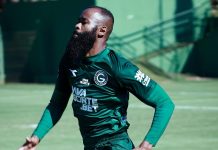 Após deixar o Goiás, Marcão é anunciado por outro time da Série B