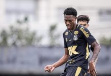 Goiás anuncia a contratação do zagueiro Luisão, emprestado pelo Santos