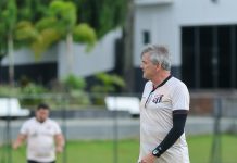 Antes do início do Goianão, Luiz Carlos Winck pede demissão do Anápolis