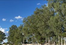 Goianão Feminino sub-20 começa com goleada do Aliança e empate entre Vila Nova e Flugoiânia