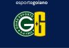 Goianos FA vai se transformar em Goiás Futebol Americano; entenda!