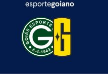 Goianos FA vai se transformar em Goiás Futebol Americano; entenda!