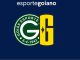 Goianos FA vai se transformar em Goiás Futebol Americano; entenda!