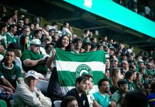 Copa do Brasil: Goiás inicia venda de ingressos para duelo diante do Fluminense-PI