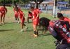 Vila Nova perde para lanterna do Brasileiro feminino A-2 e completa oito jogos sem vencer