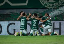 Duelo inédito: Goiás e São Bernardo se enfrentam pela primeira vez na história