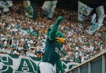 Copa do Brasil: mais de 13 mil ingressos foram vendidos para Goiás x Cruzeiro