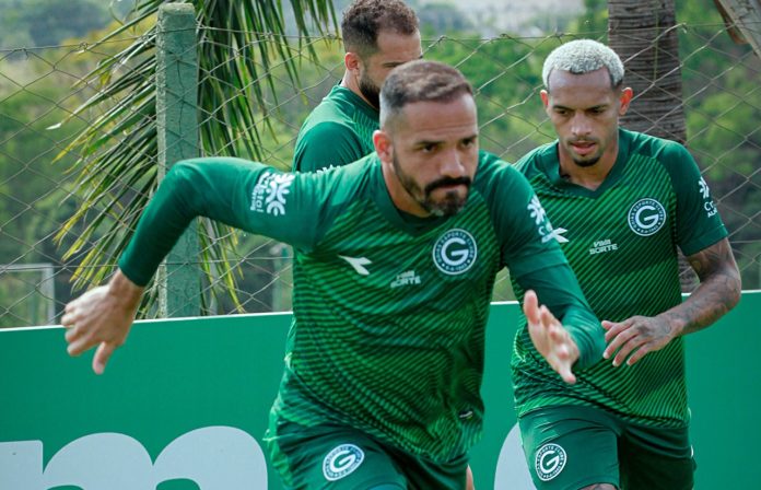 ANSELMO RAMON GOIAS