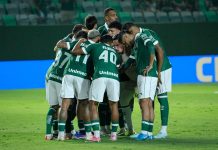 Cenário muda: Goiás vence duas seguidas e chances de G-6 aumentam; veja probabilidade