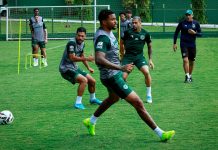 Baixas no Verdão: Goiás perde cinco jogadores para encarar o Novorizontino